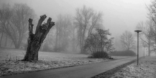 Andreas Herrmann - "Nebel im Paradies"